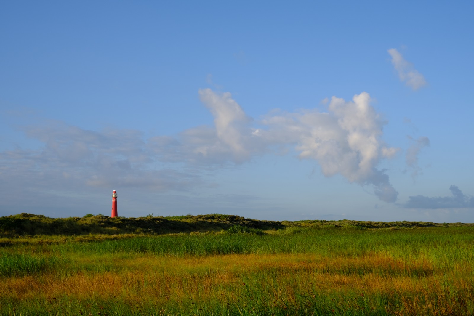 DSCF0995.JPG
