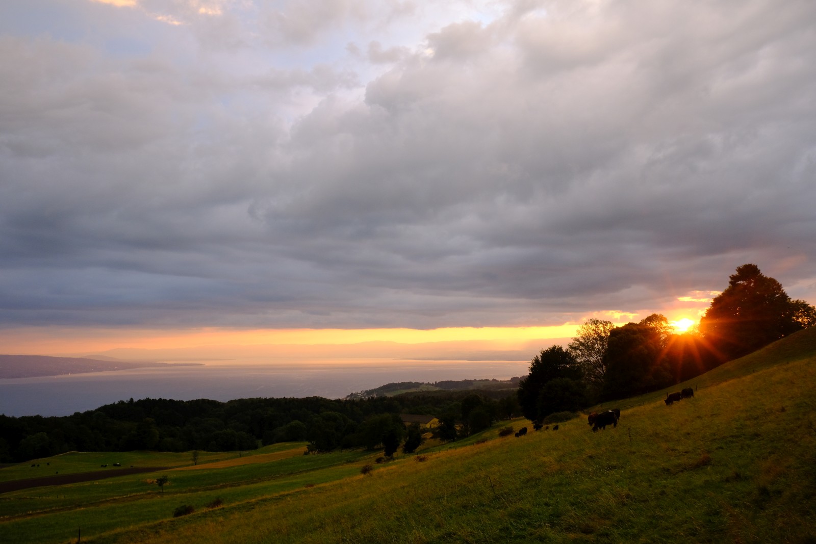 DSCF1156.JPG