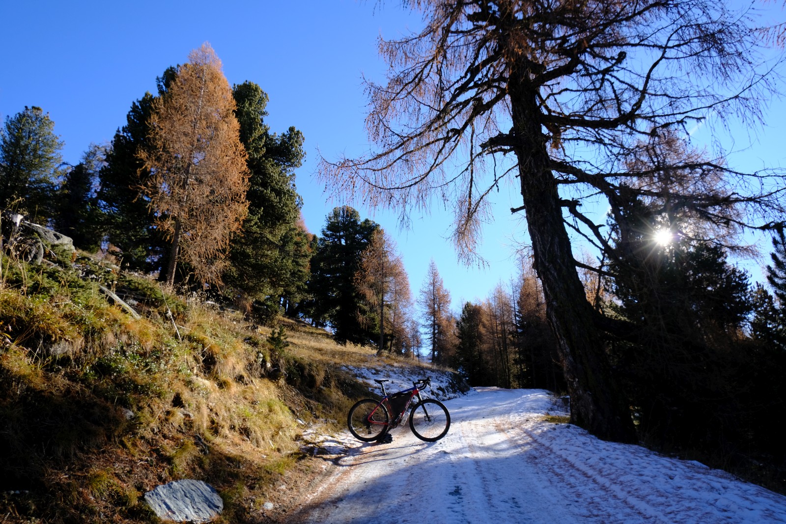 DSCF1158.JPG
