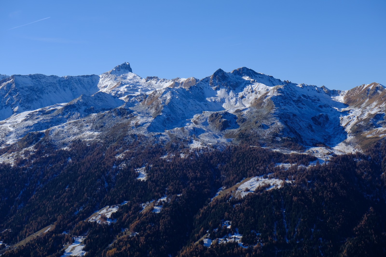 DSCF1163.JPG