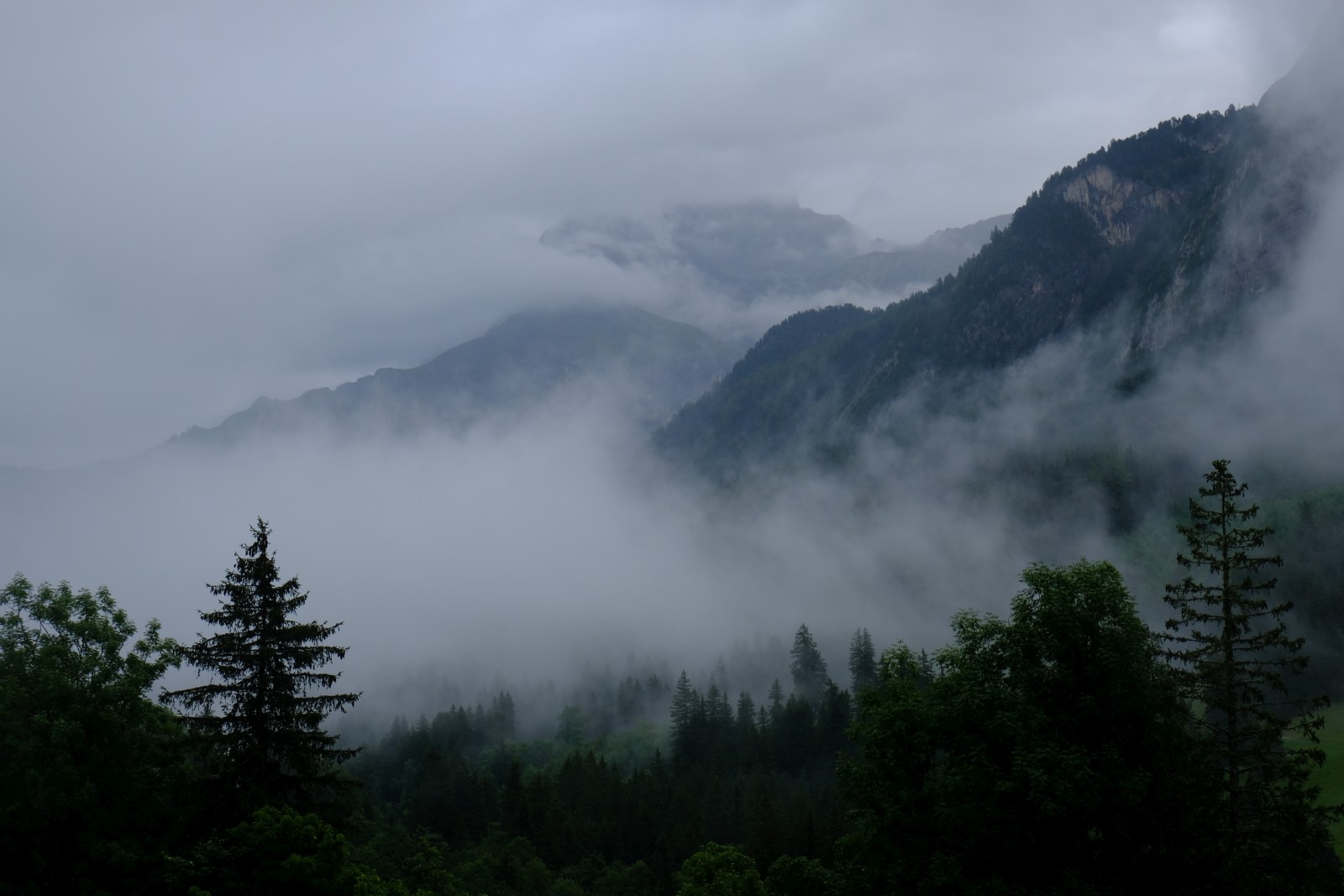 DSCF1179.JPG