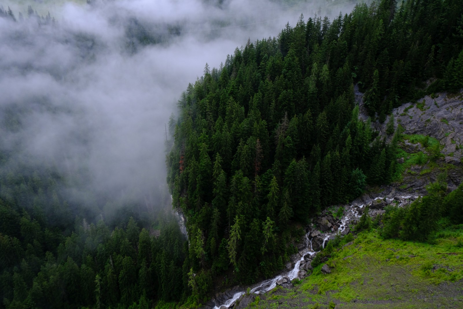 DSCF1195.JPG
