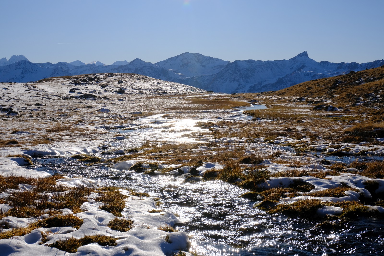 DSCF1231.JPG