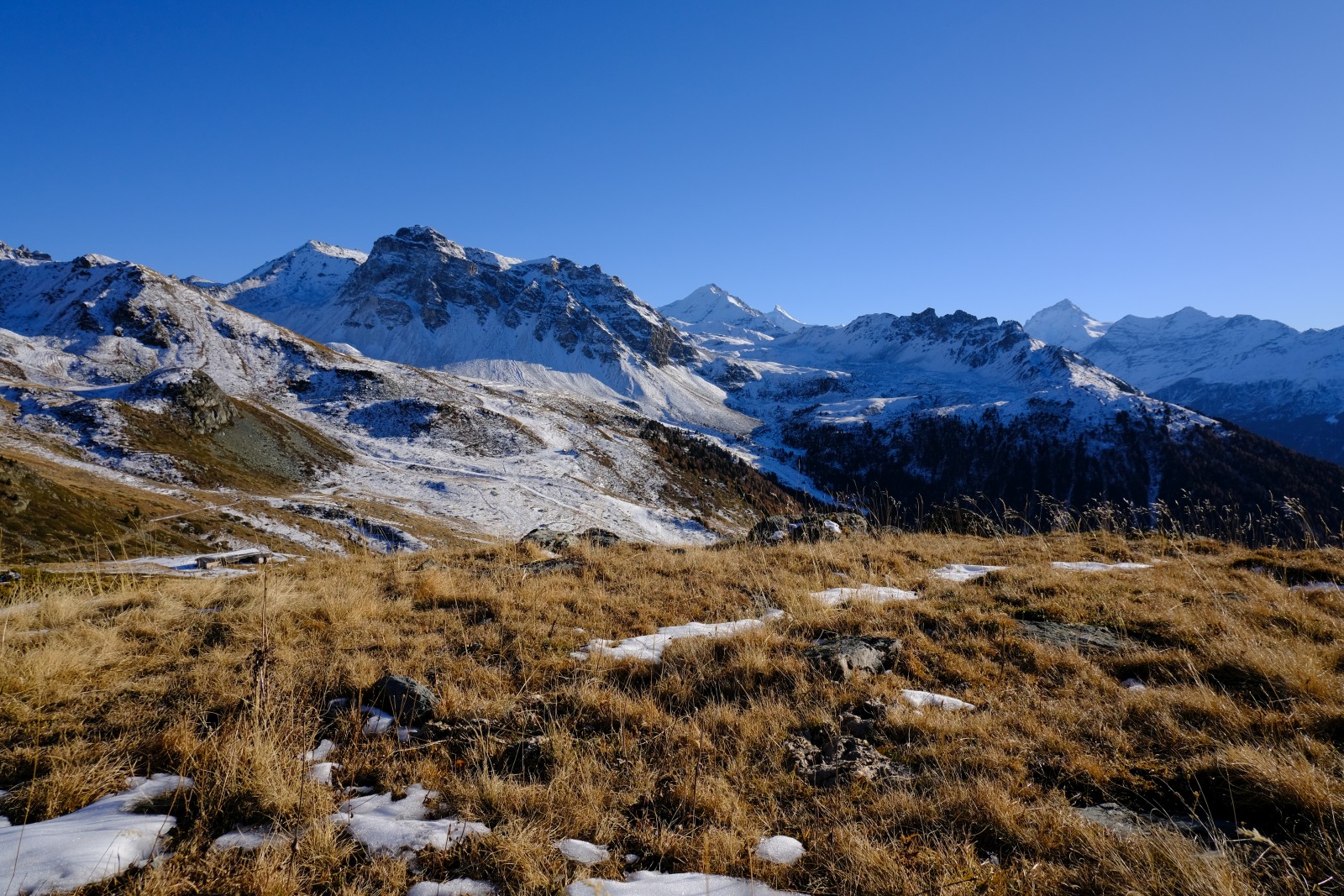 DSCF1235.JPG