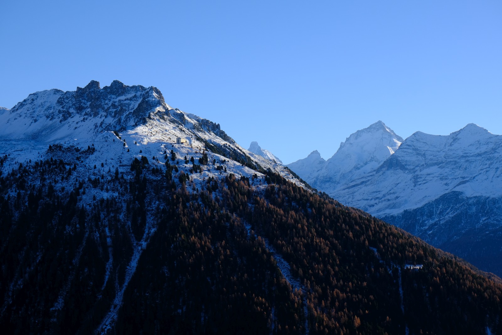 DSCF1241.JPG