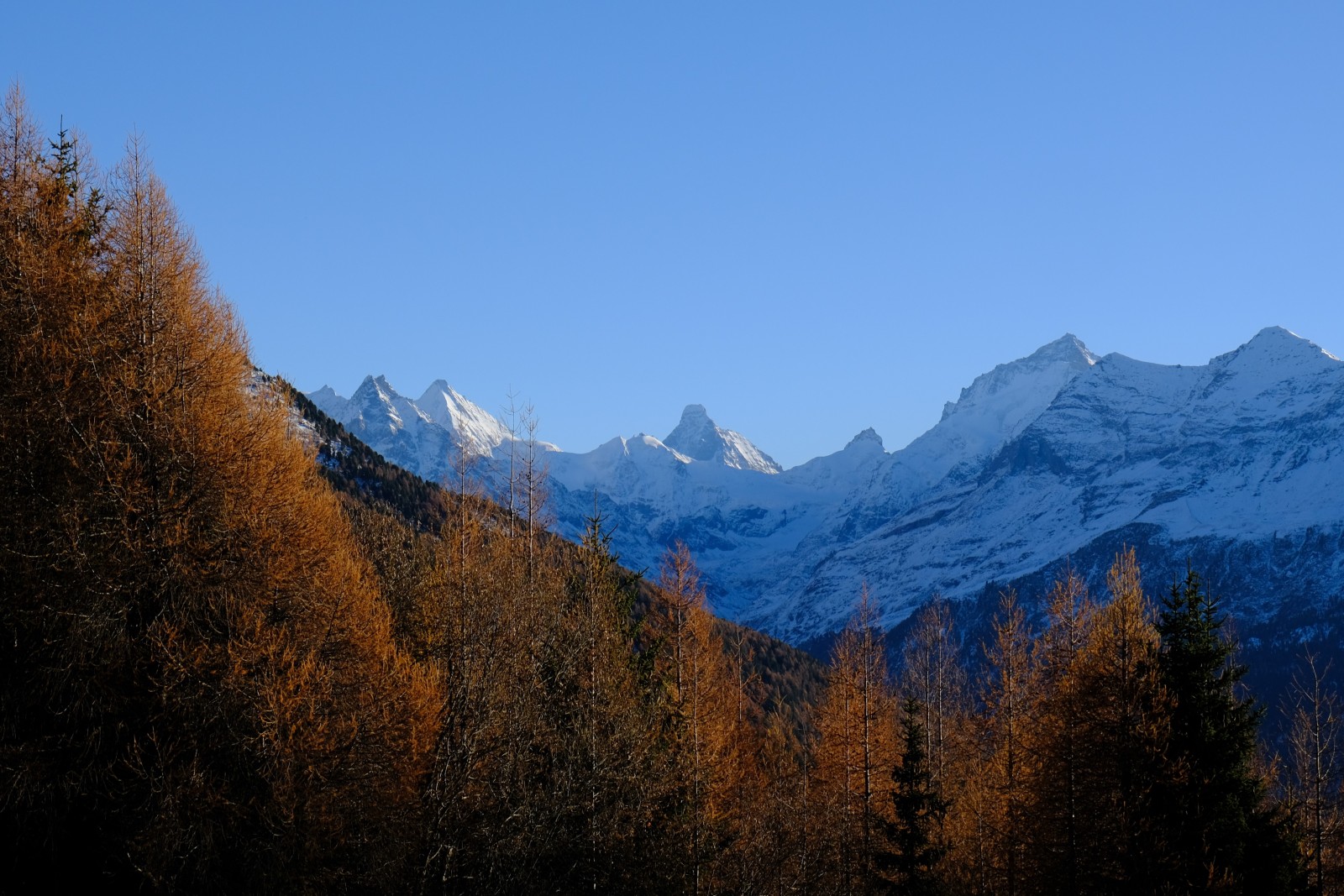 DSCF1244c.JPG