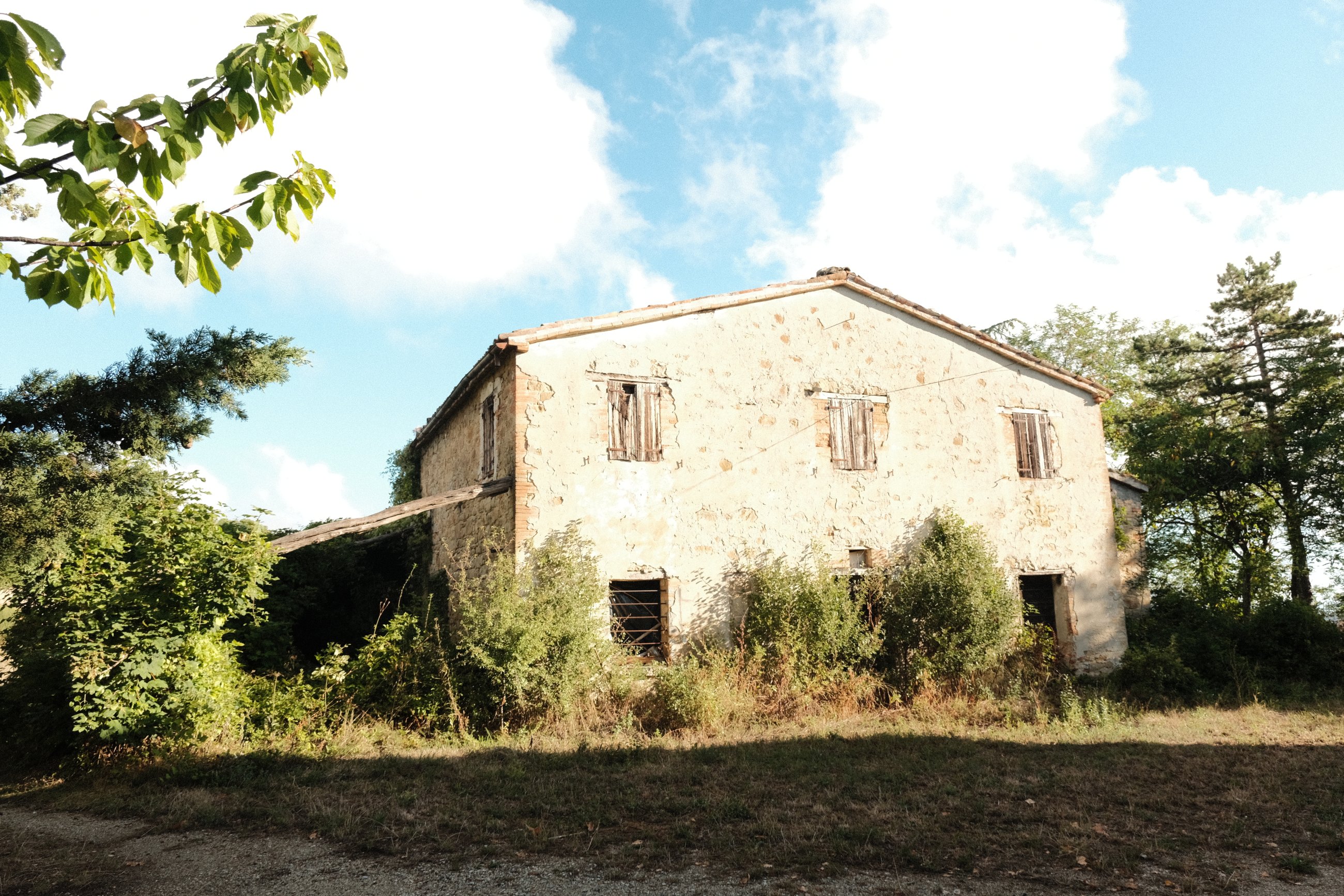 DSCF1247.JPG