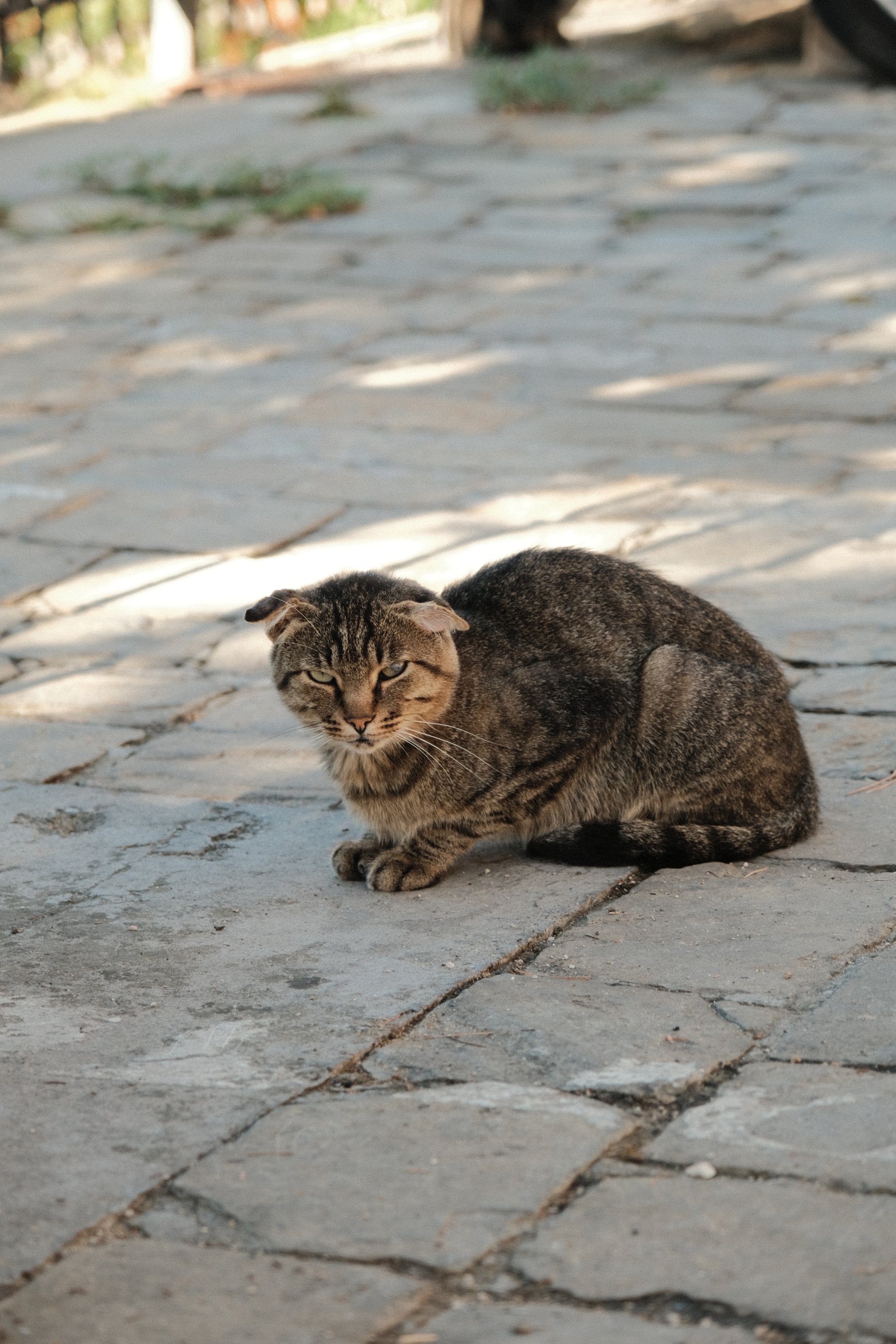 DSCF1252.JPG