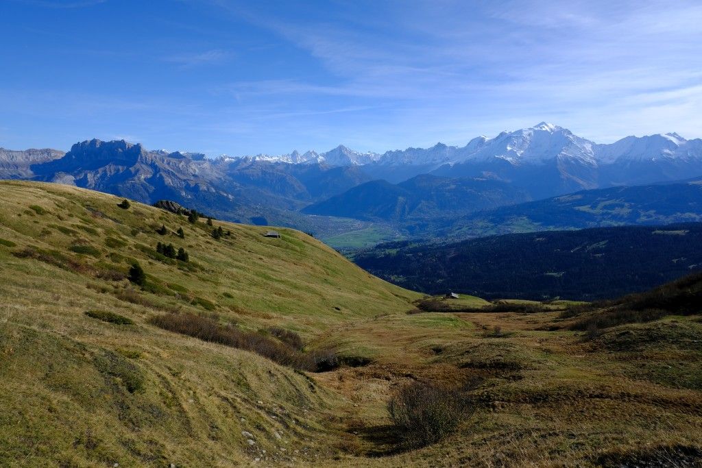 DSCF1271.JPG