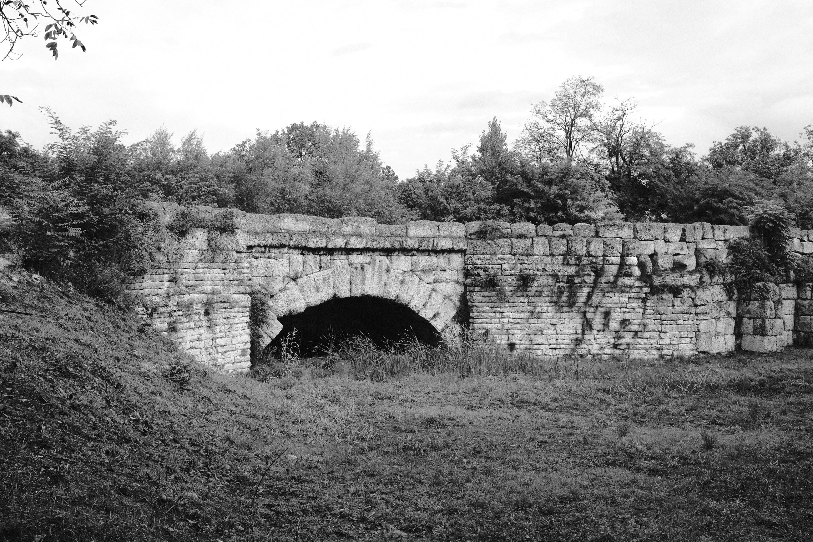 DSCF1312.JPG