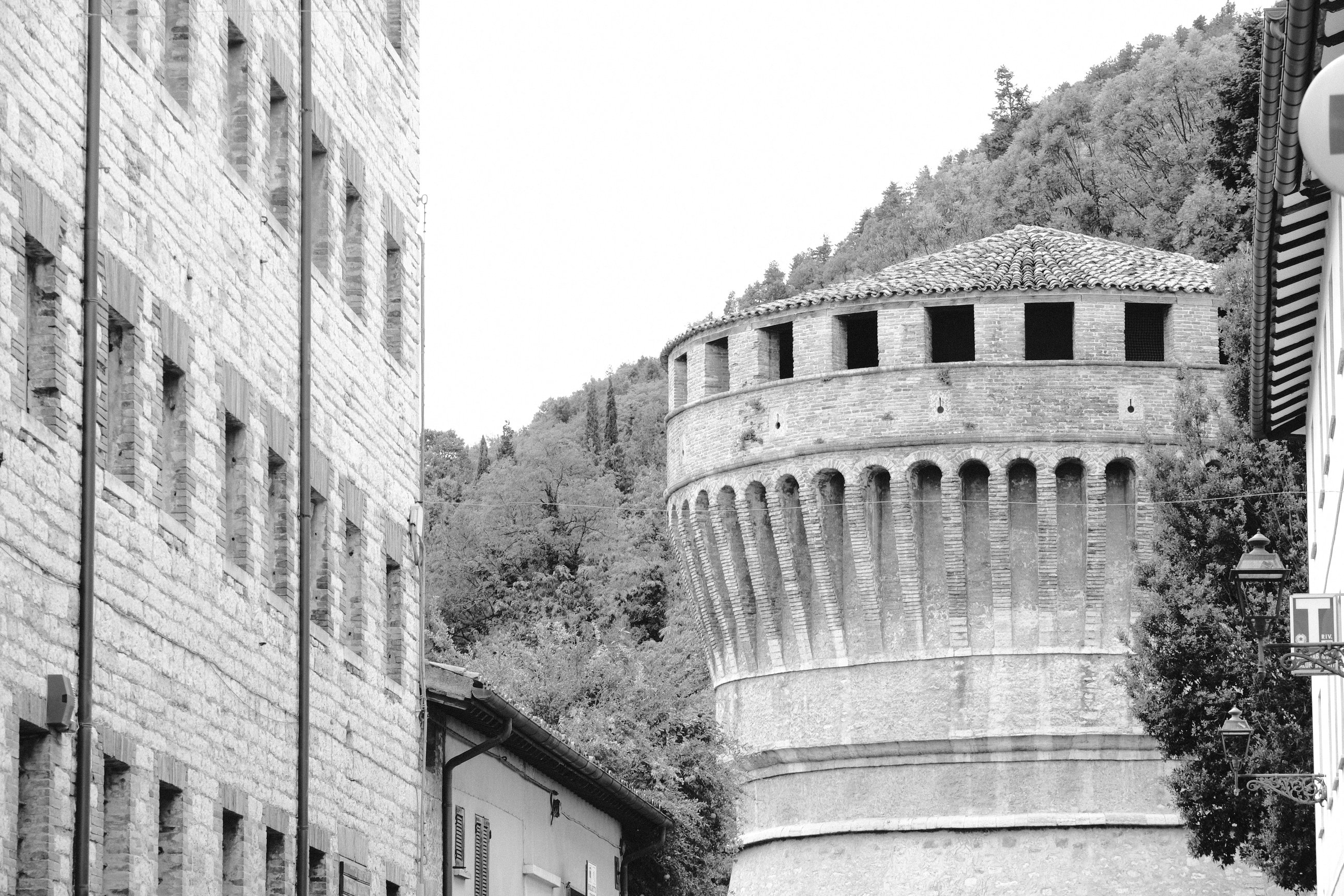 DSCF1317.JPG