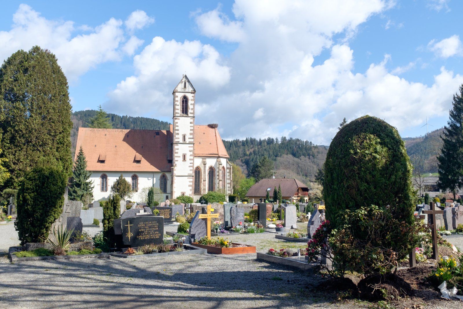 DSCF1423 Kopie.jpg
