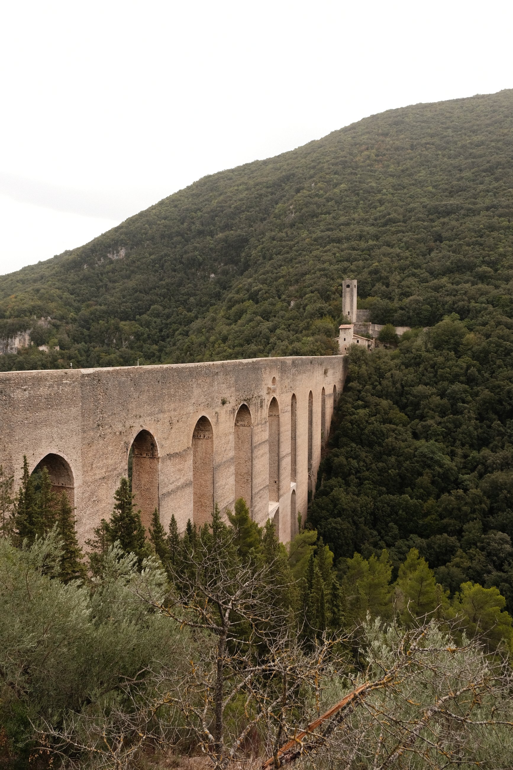DSCF1480.JPG