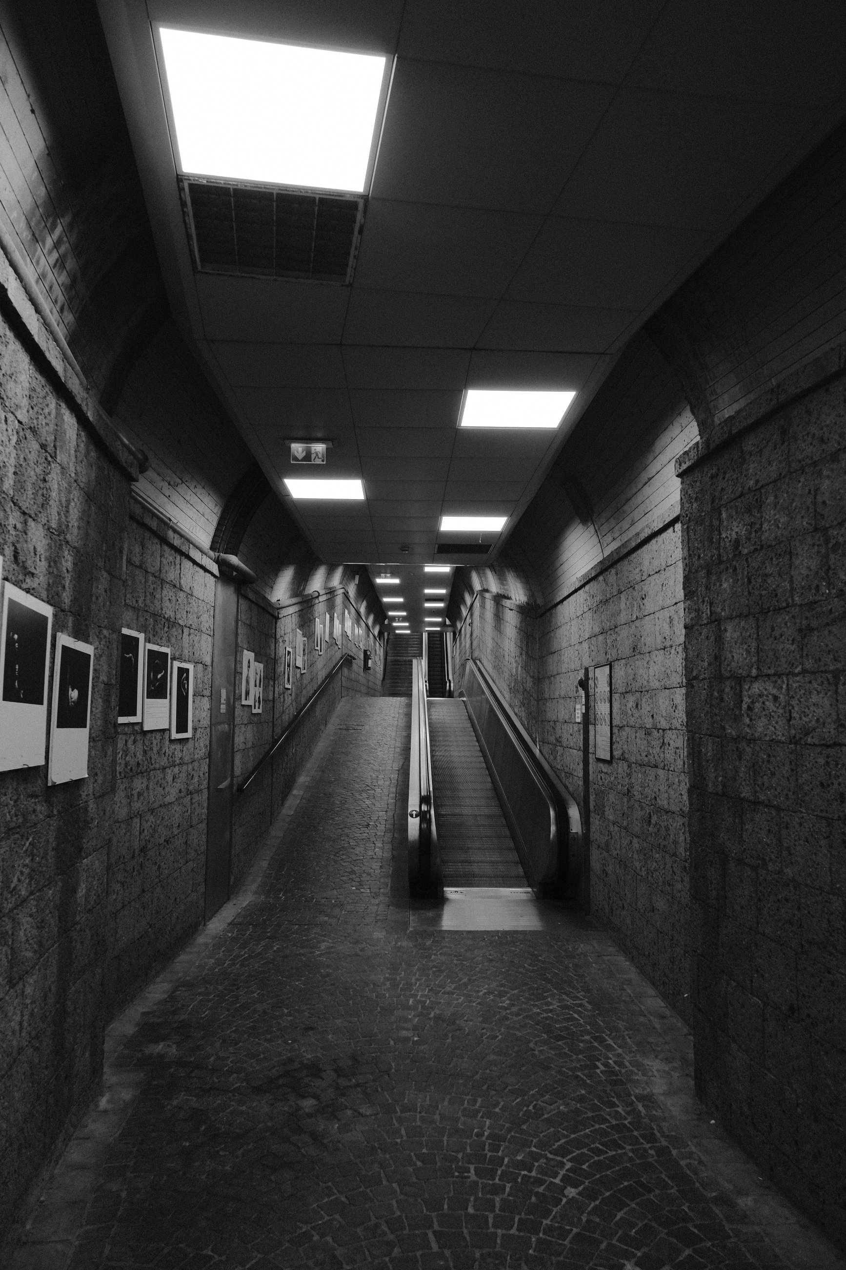 DSCF1535.JPG