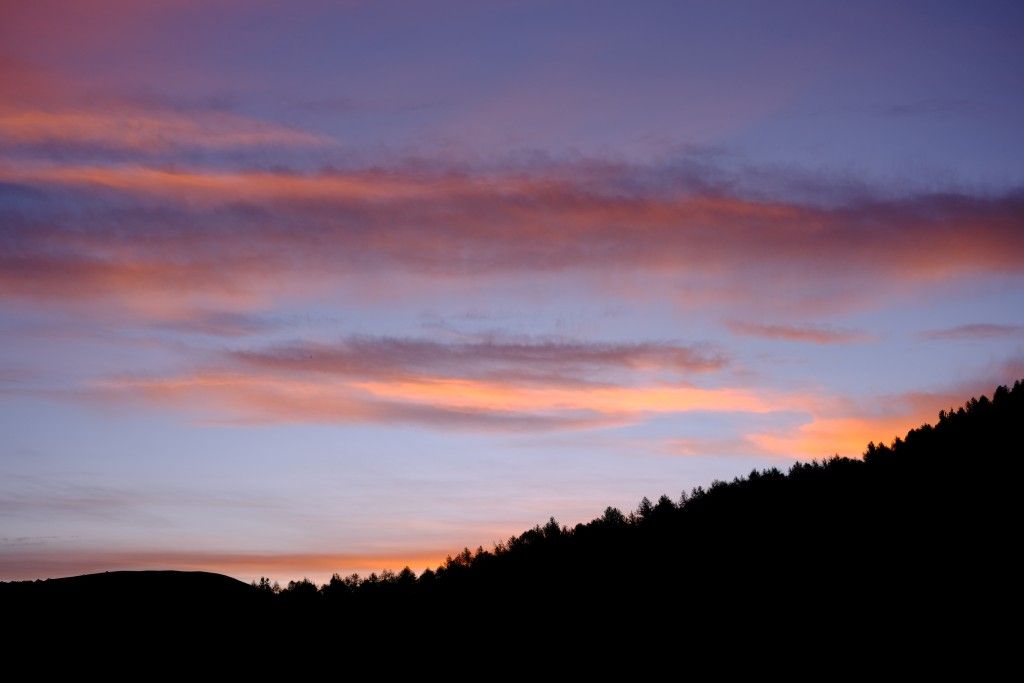 DSCF1727.JPG