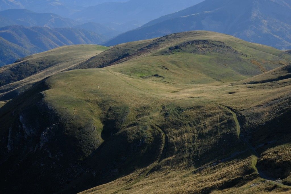DSCF1769.JPG