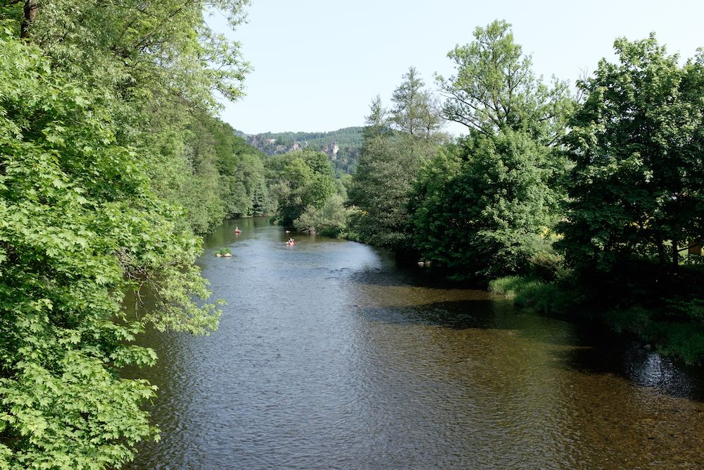 DSCF2126.jpg
