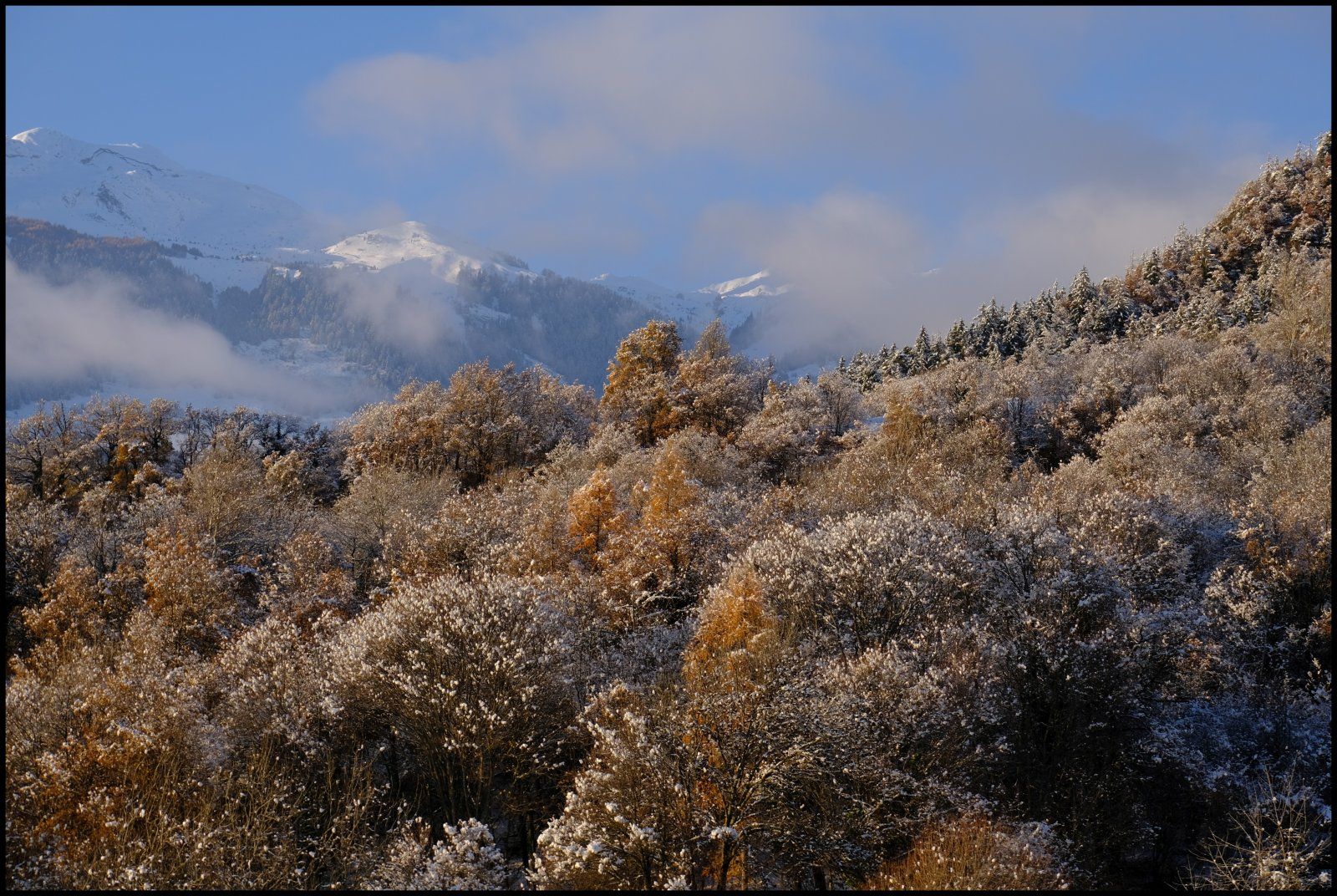 DSCF2842.JPG