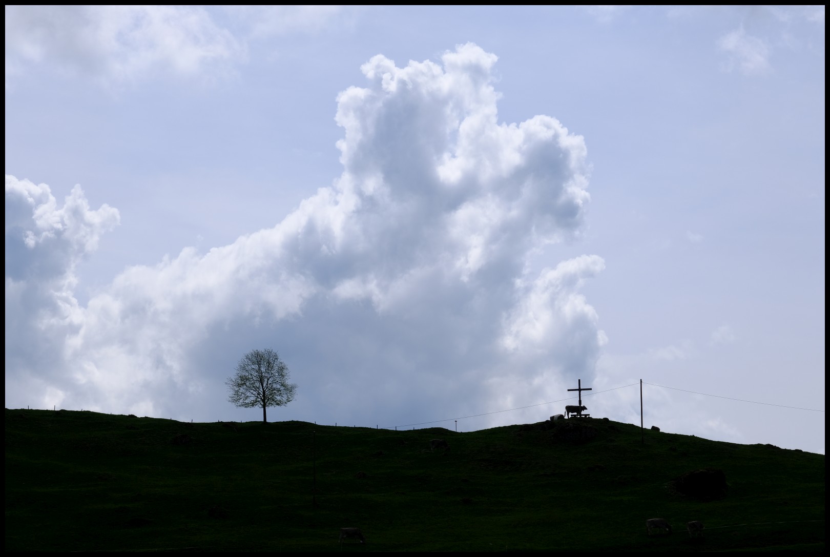 DSCF2878.JPG