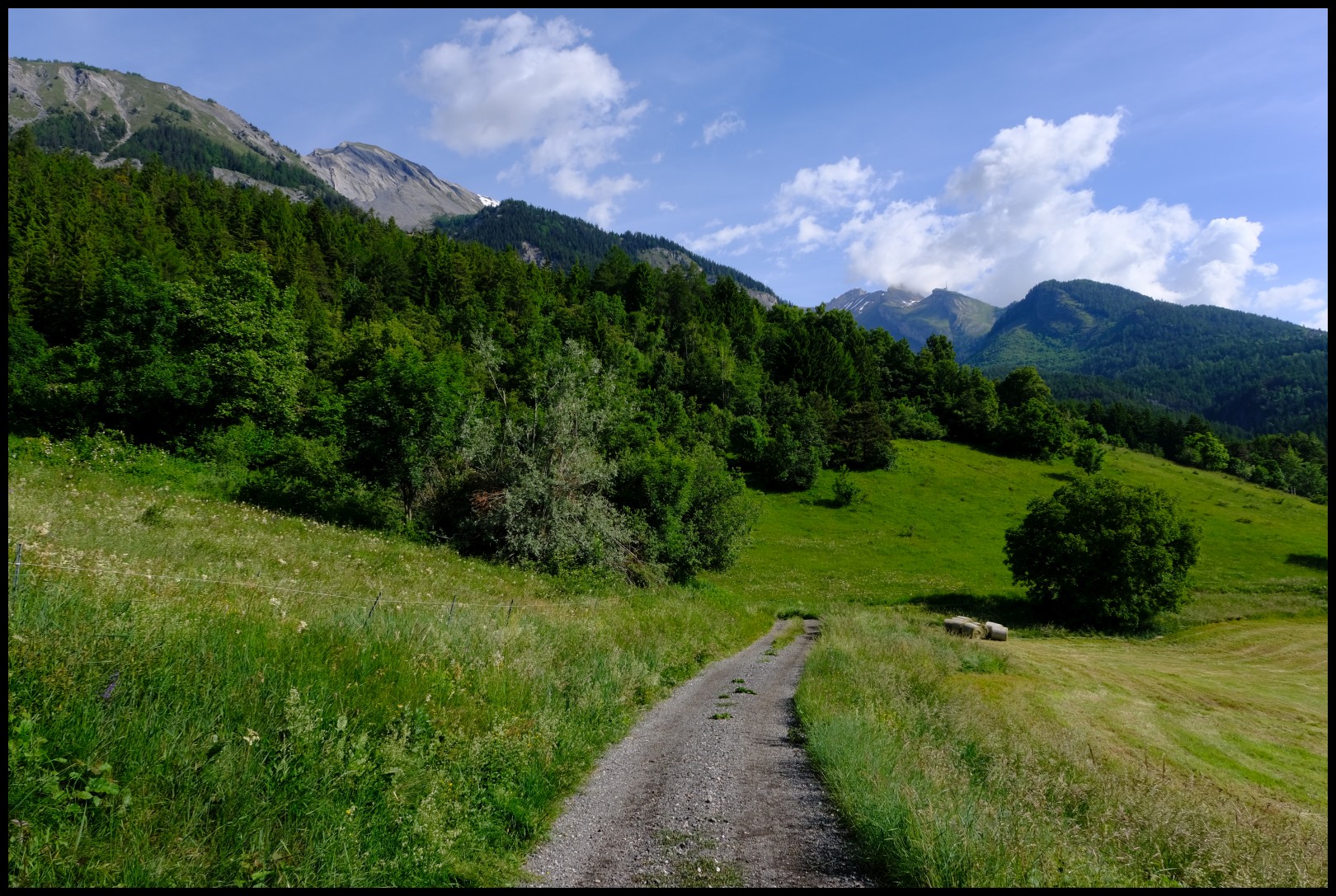 DSCF3346.JPG