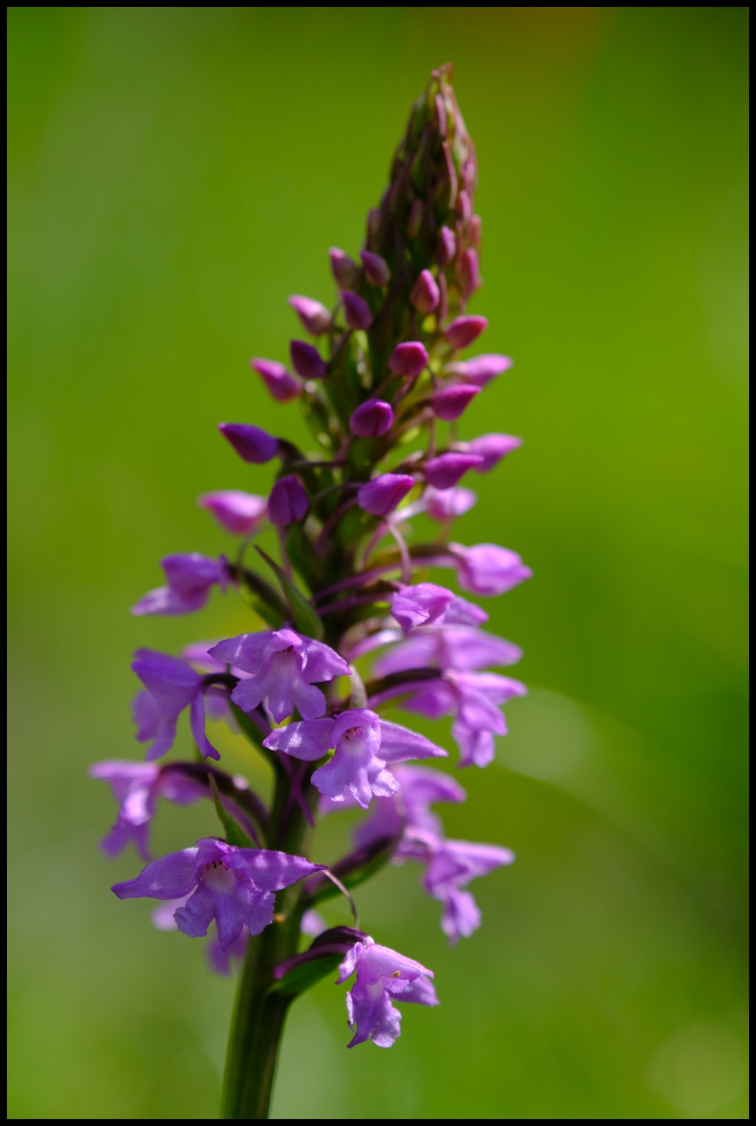DSCF3363.JPG