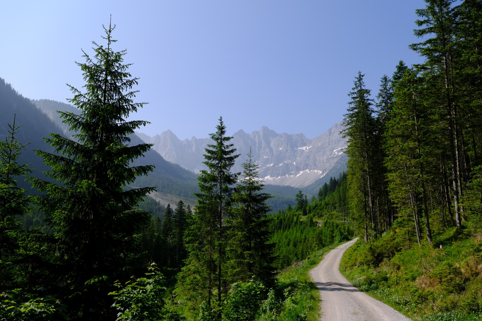 DSCF3872.JPG