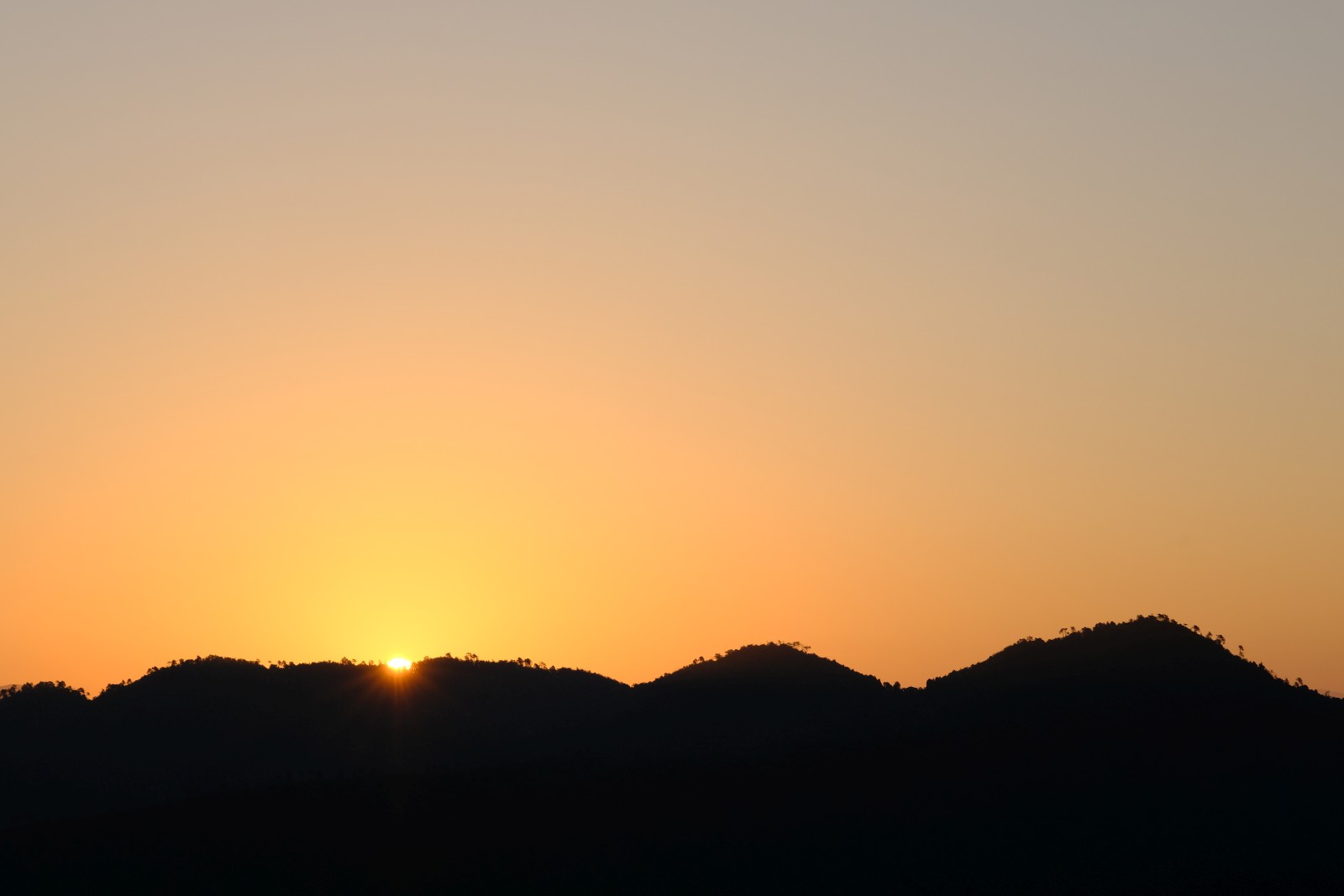 DSCF4144.JPG