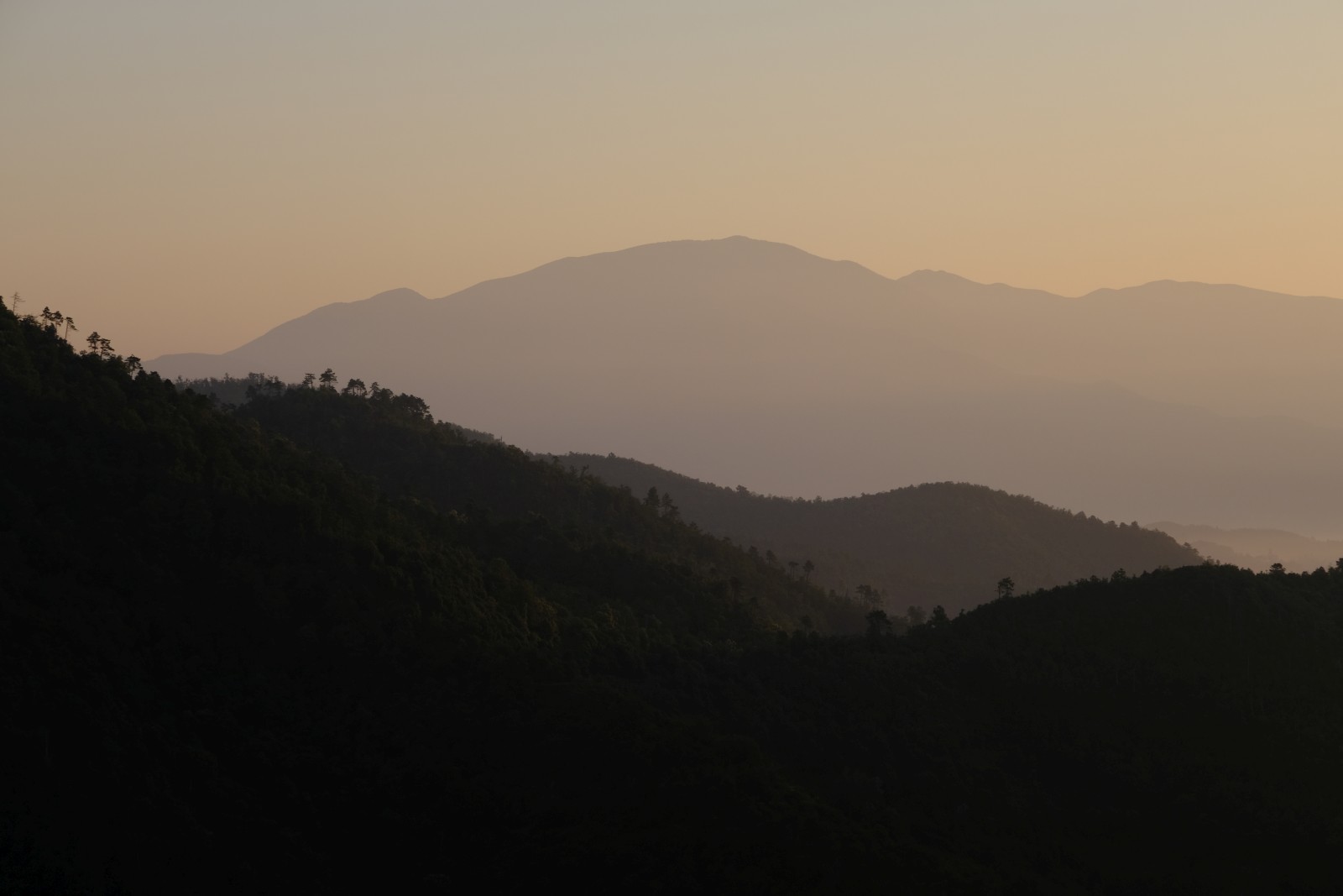 DSCF4159.JPG