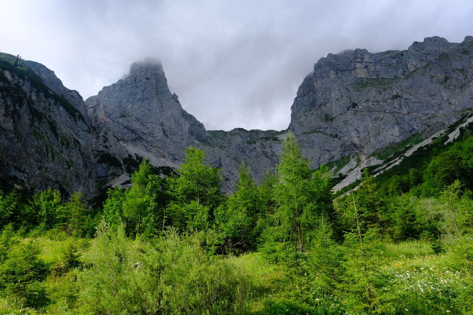 DSCF4311.JPG