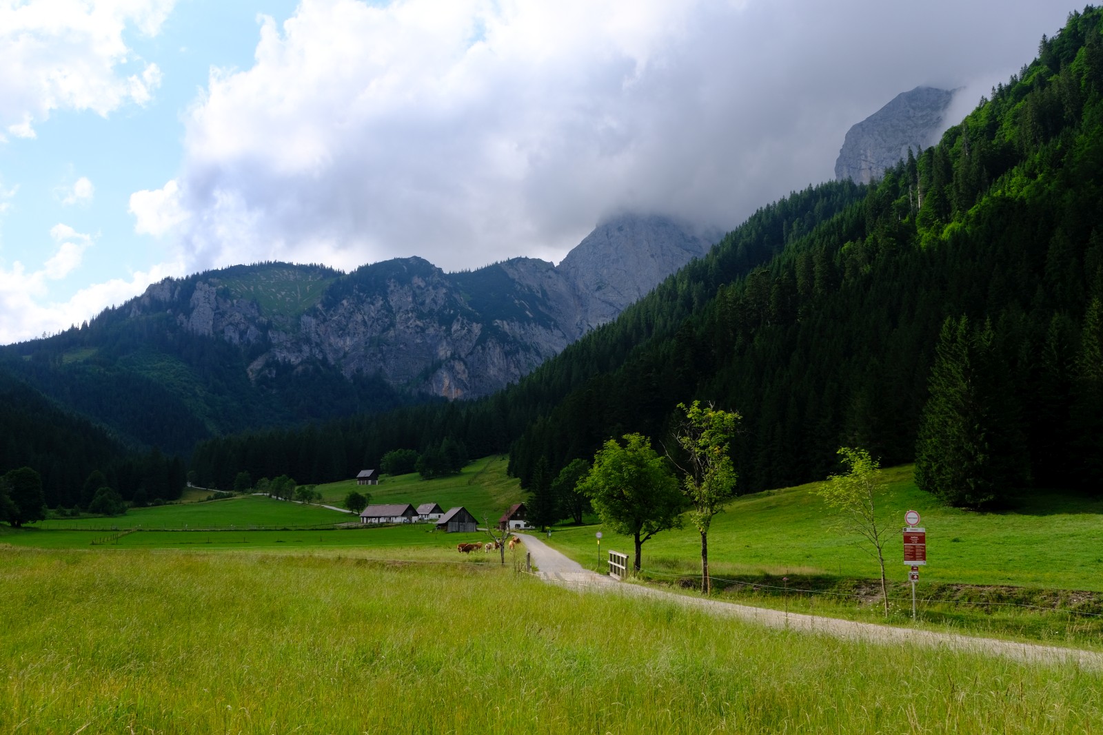 DSCF4317.JPG