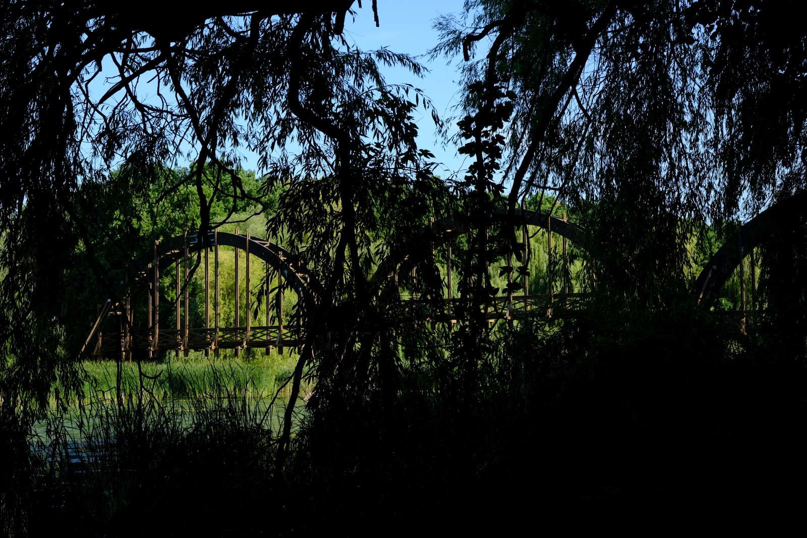 DSCF4651.JPG