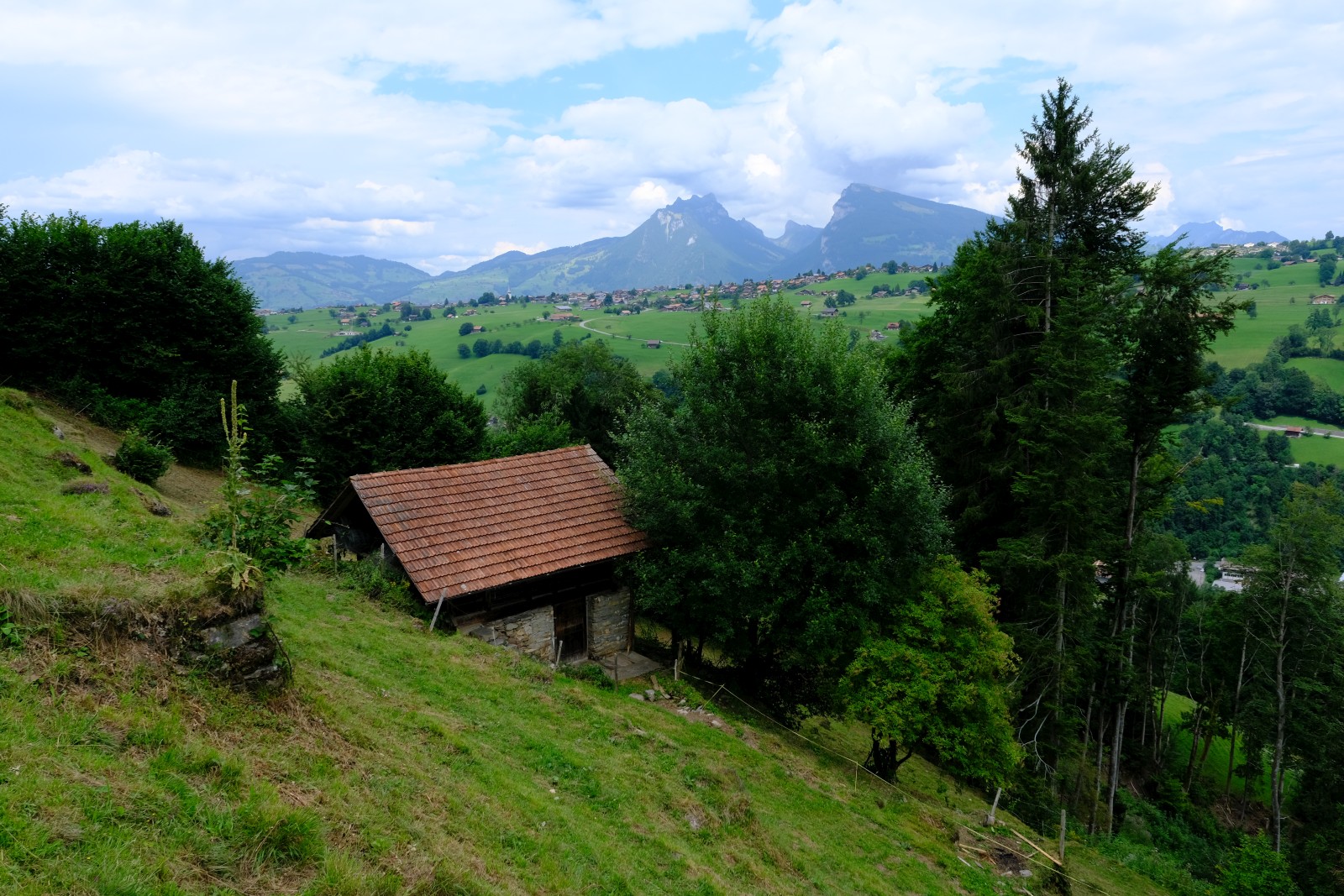 DSCF4762.JPG