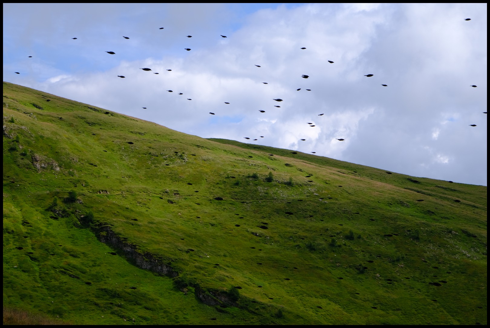 DSCF4847.JPG