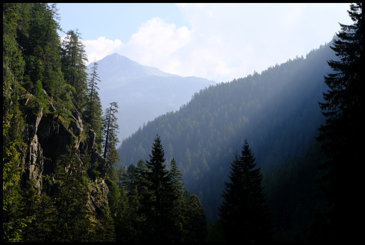 DSCF5380.JPG