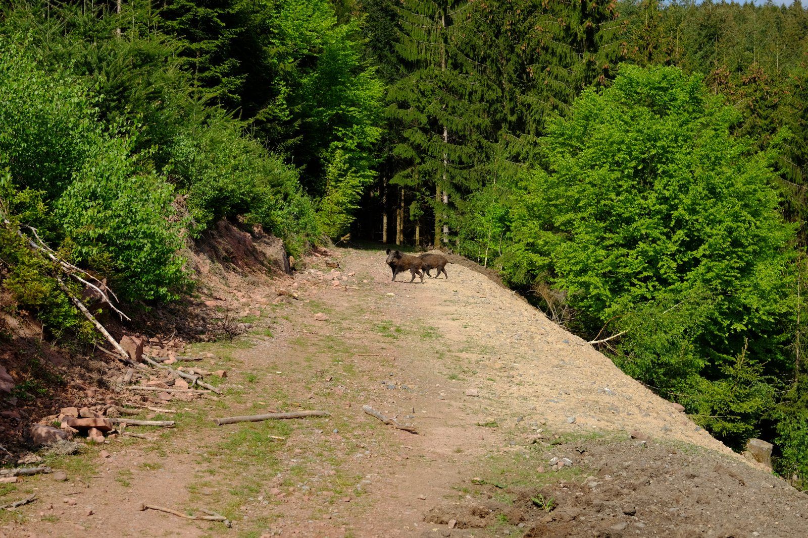 DSCF5635.JPG