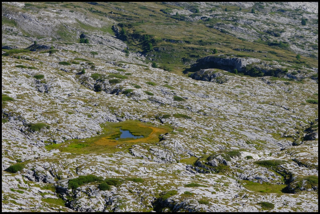 DSCF5762.JPG