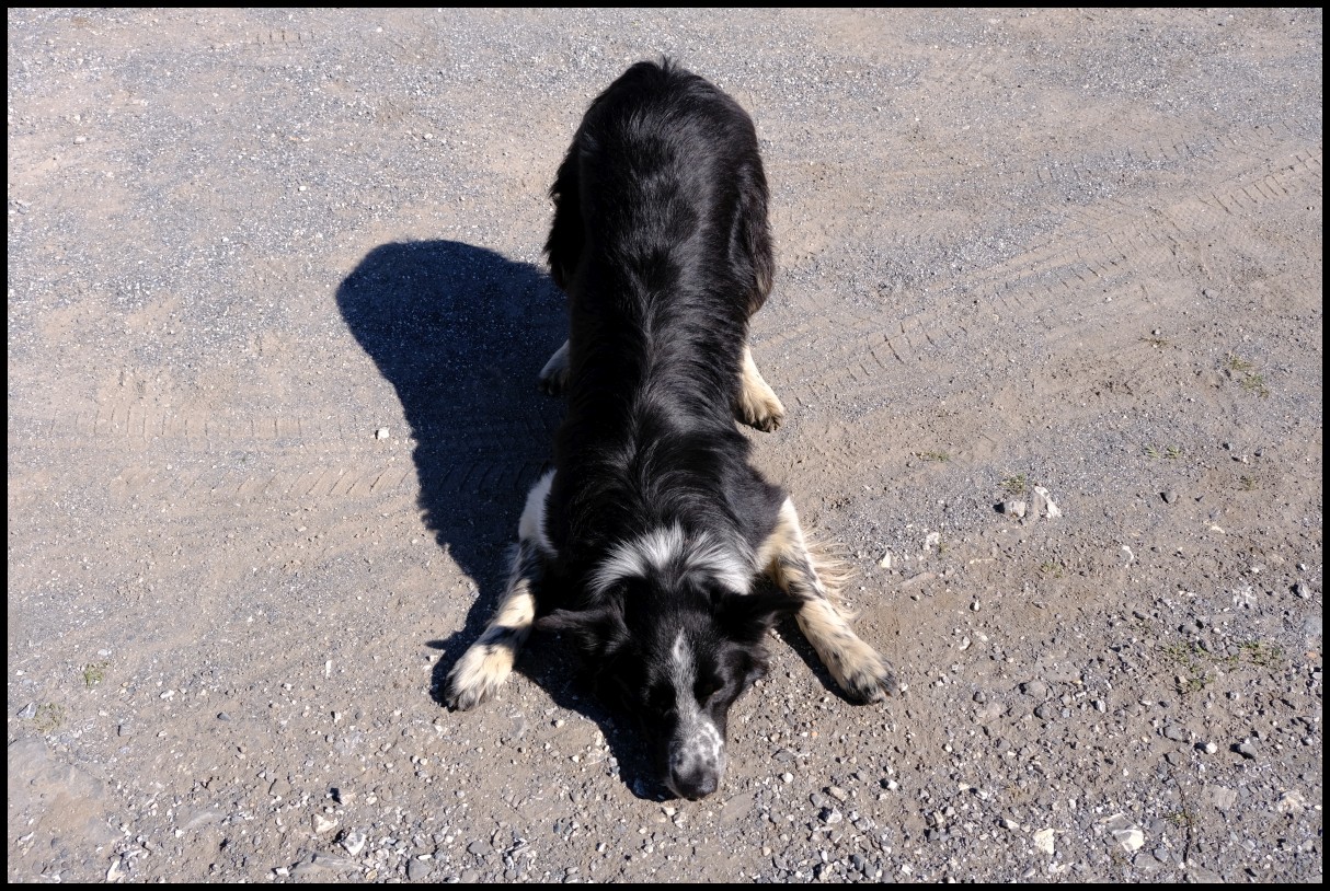 DSCF5774.JPG