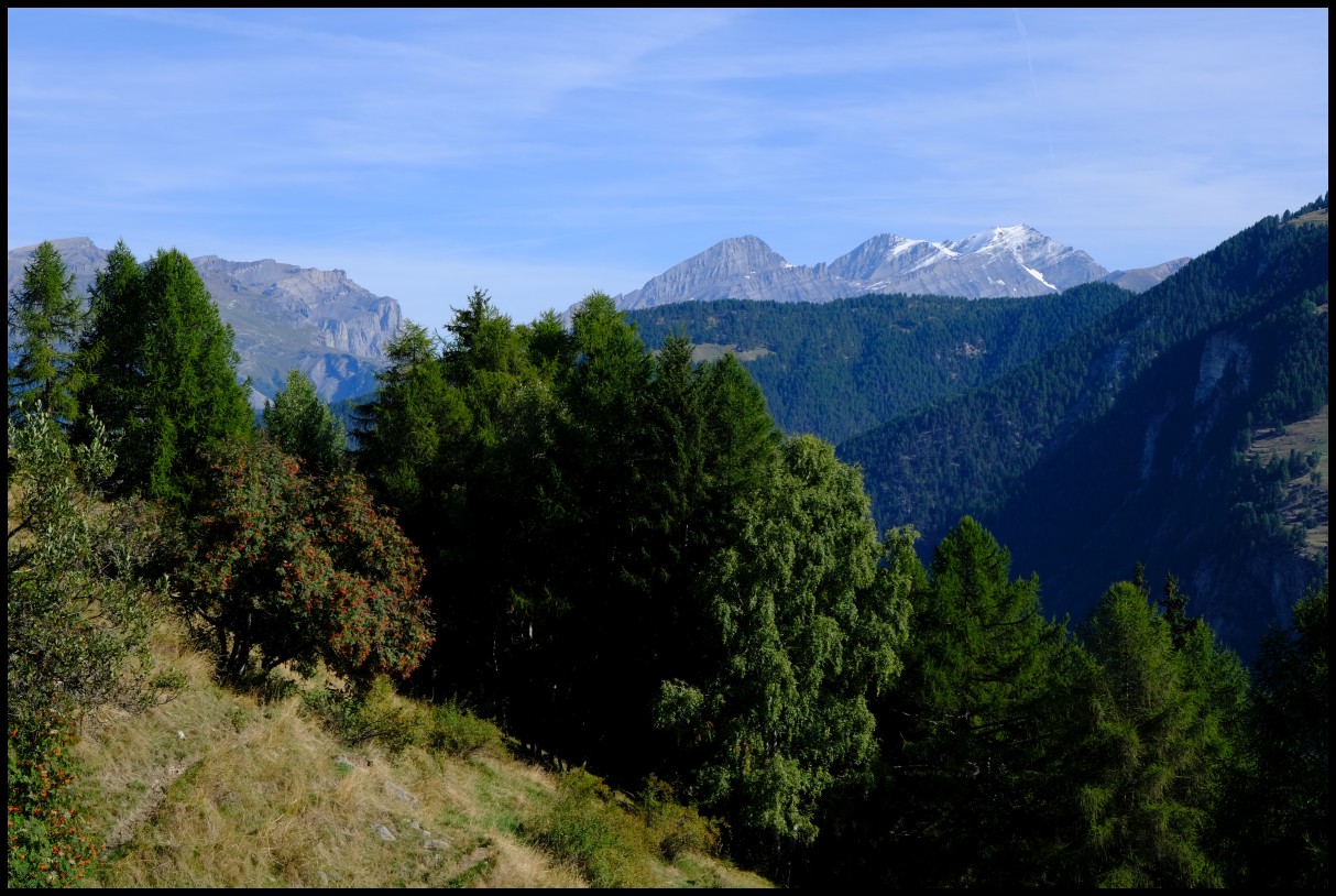 DSCF6101.JPG