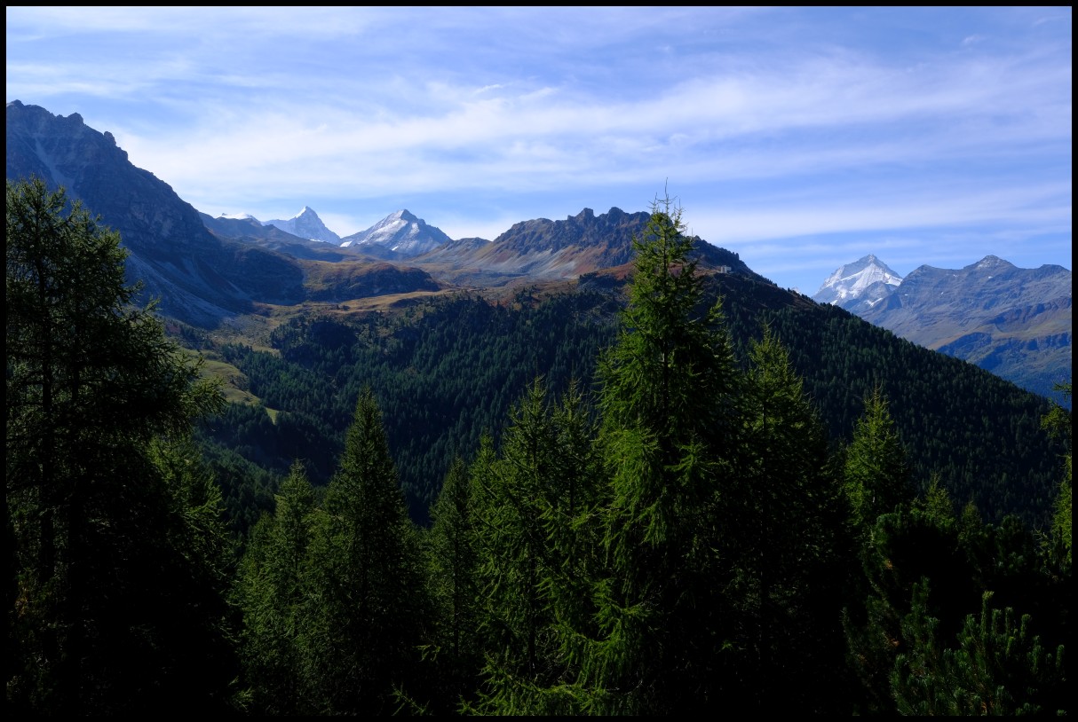 DSCF6165.JPG