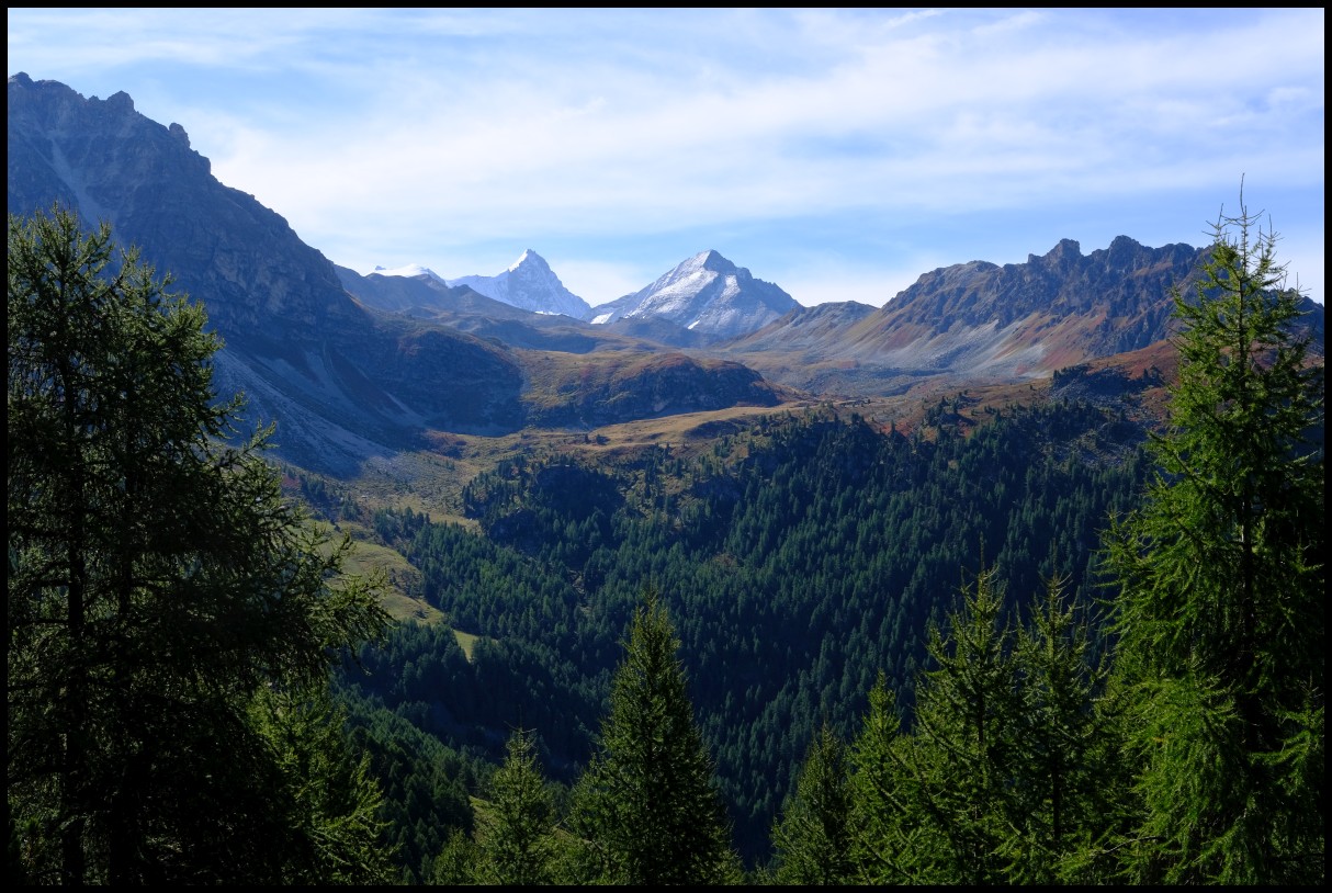 DSCF6169.JPG