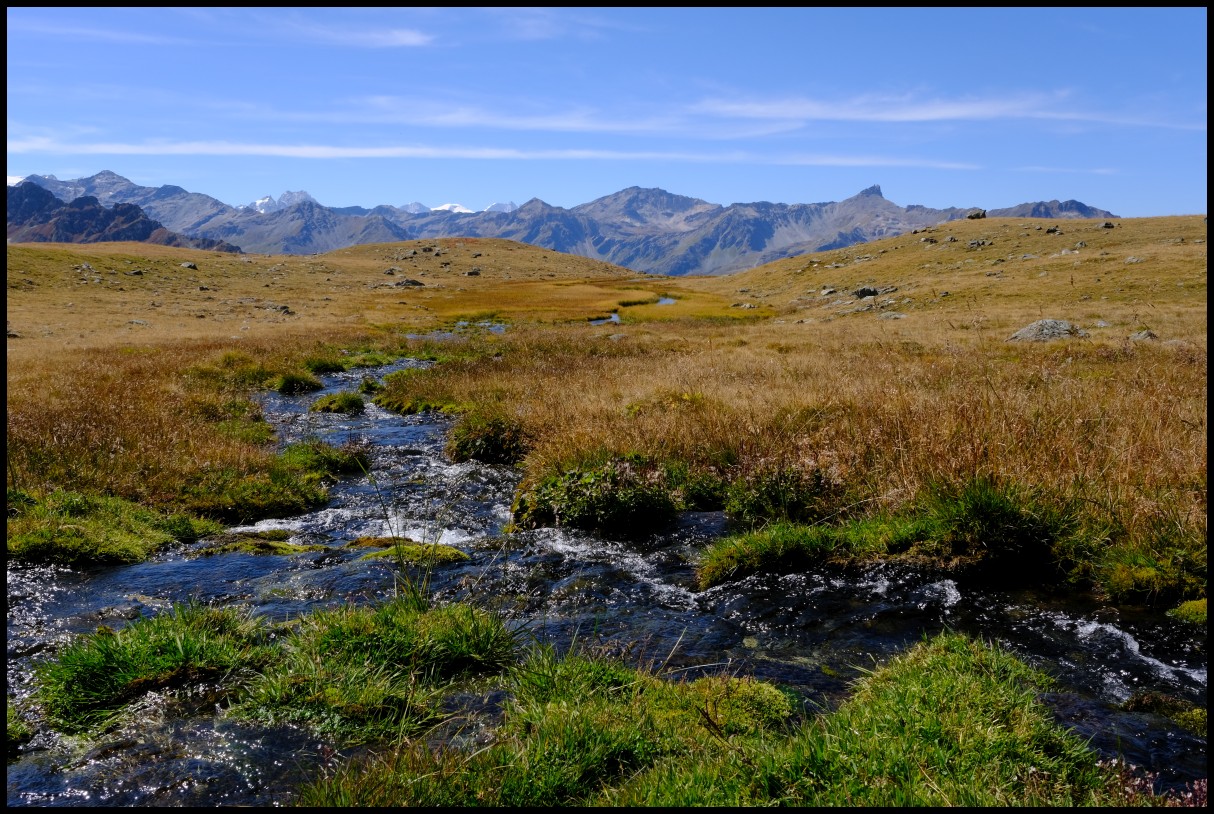 DSCF6178.JPG