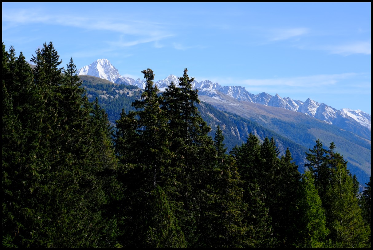 DSCF6390.JPG