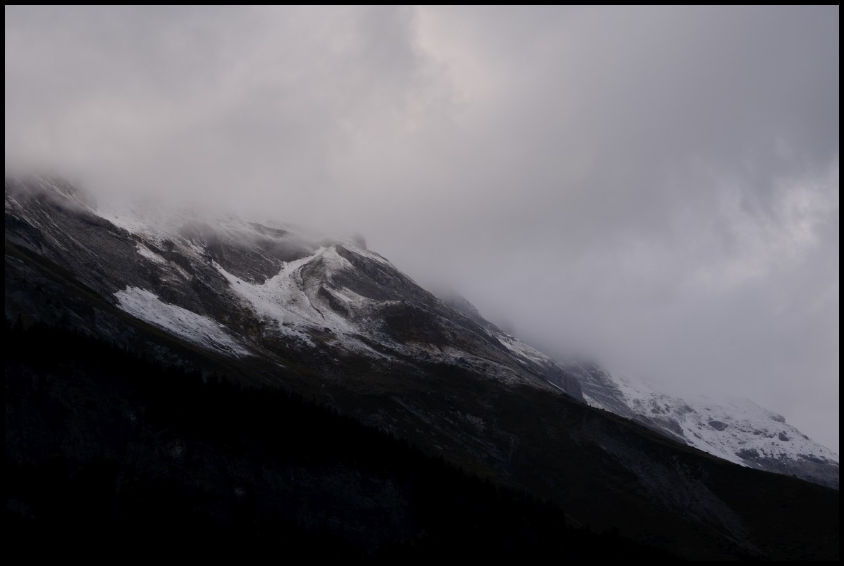 DSCF6431.JPG