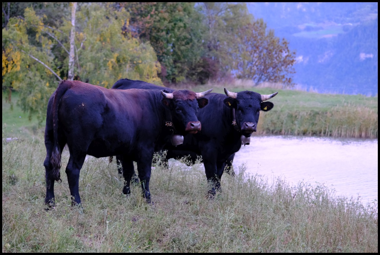 DSCF6445.JPG