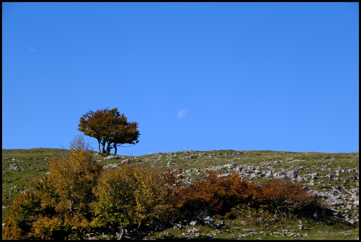 DSCF6459c.JPG