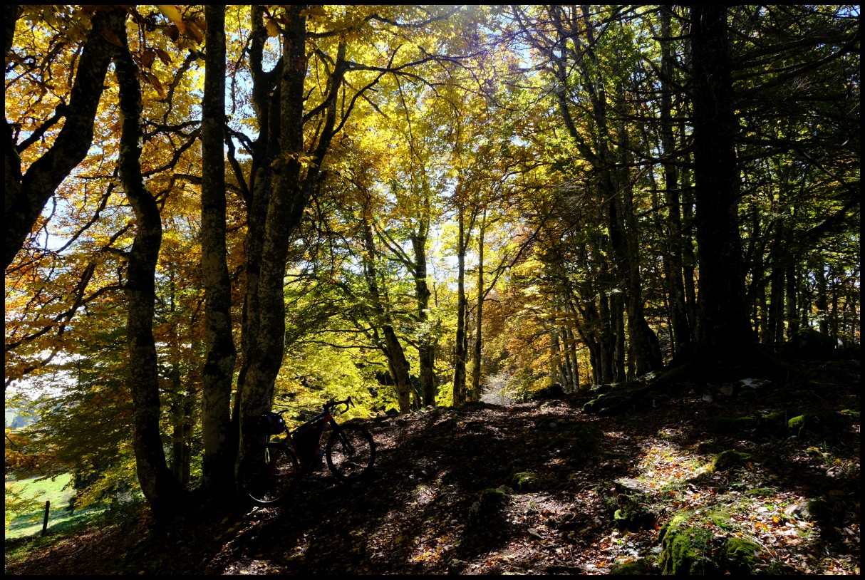 DSCF6460.JPG