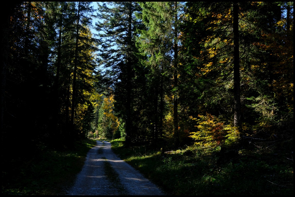 DSCF6464.JPG