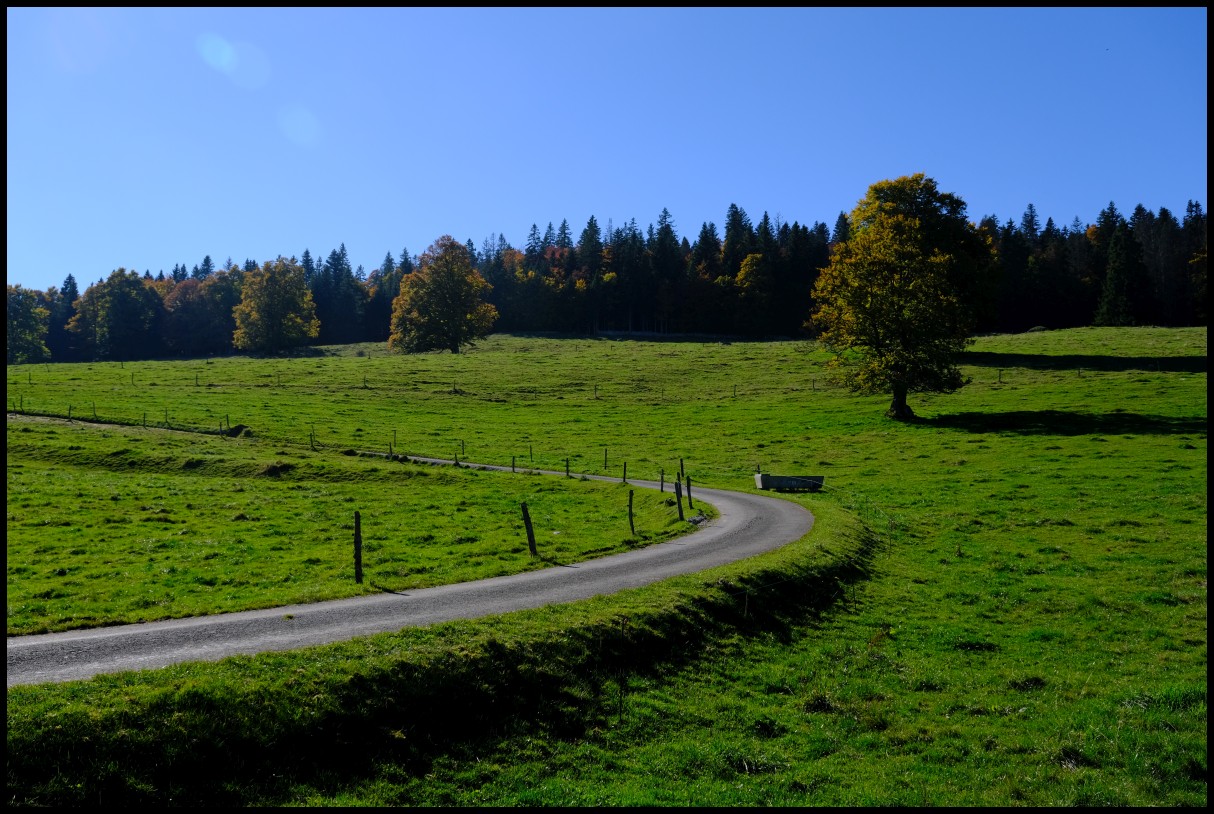 DSCF6466.JPG