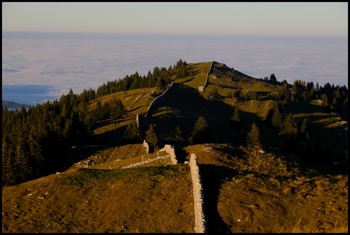 DSCF6487.JPG