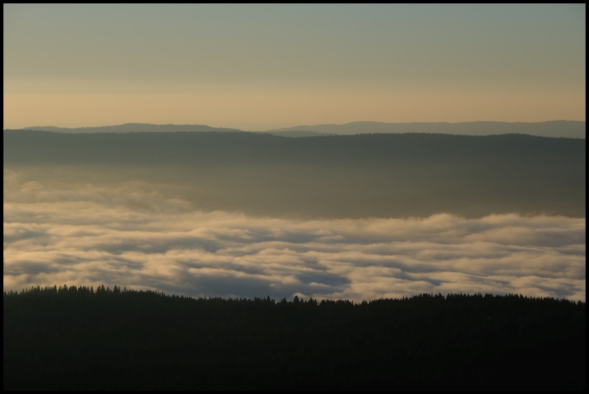 DSCF6492.JPG